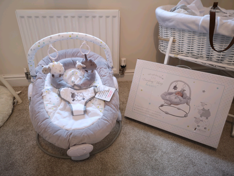 silver cloud baby bouncer
